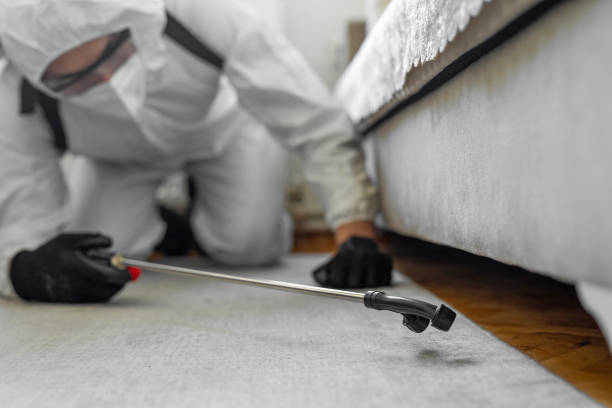 Professional Ant Control technician working in The Homesteads, TX